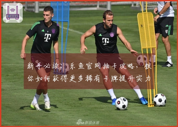 新手必读:乐鱼官网抽卡攻略,教你如何获得更多稀有卡牌提升实力