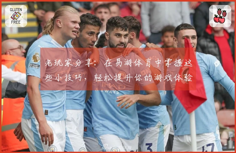 老玩家分享:在易游体育中掌握这些小技巧,轻松提升你的游戏体验!