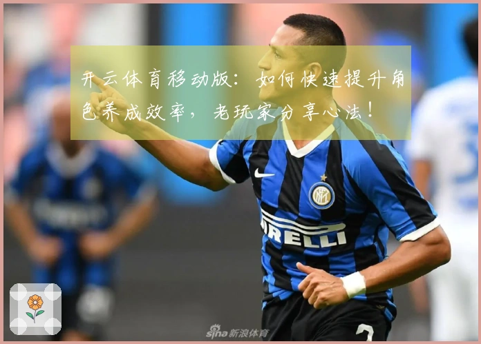 开云体育移动版：如何快速提升角色养成效率，老玩家分享心法！