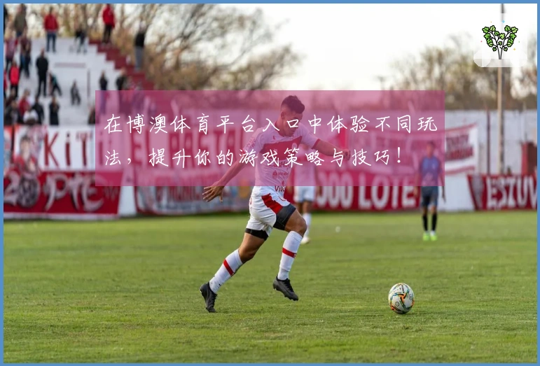 在博澳体育平台入口中体验不同玩法，提升你的游戏策略与技巧！