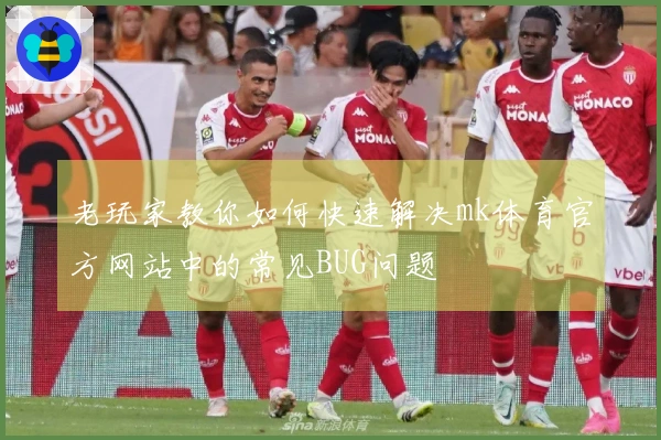 老玩家教你如何快速解决mk体育官方网站中的常见BUG问题